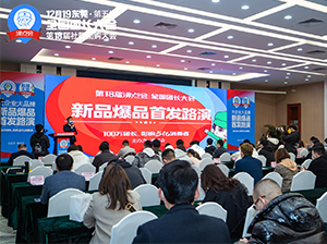 东莞全国团长大会5大环节之一：大企业大品牌首发路演成功举办